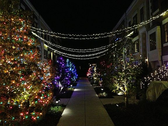 Center Walk at Xmas