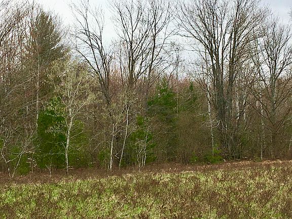 4th image of 0 Old 27 South 24.89 Acres