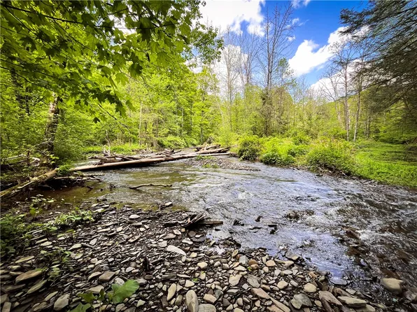 Oak Hill Rd #1, Alpine, NY 14805