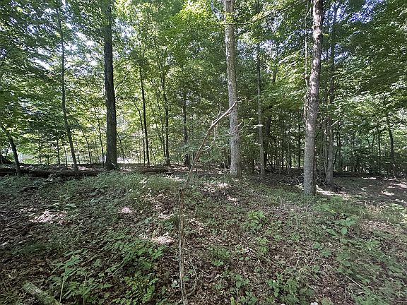 5th image of 1 Reed Rd