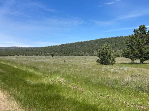 Nsa Loomis Cabin Rd, McArthur, CA 96056