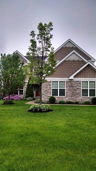 Front of House
						:
						Pretty trees and perennial plantings