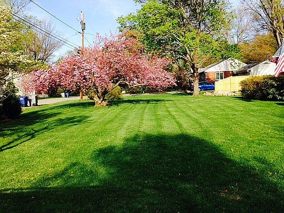 front yard from driveway