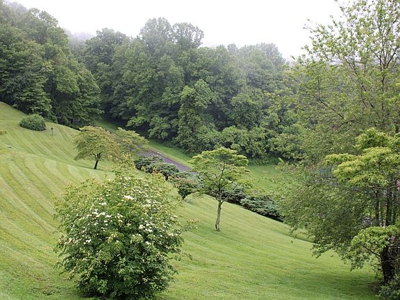 3rd image of 12 Doe Highlands Dr