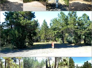 11 Deer Dr, Pine Haven, WY 82721