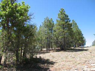 4270 Morning View Dr, Happy Jack, AZ 86024