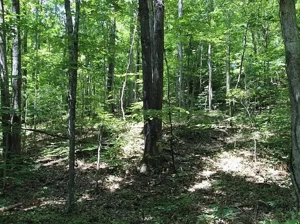 0 Old Hwy 31e, Westmoreland, TN 37186