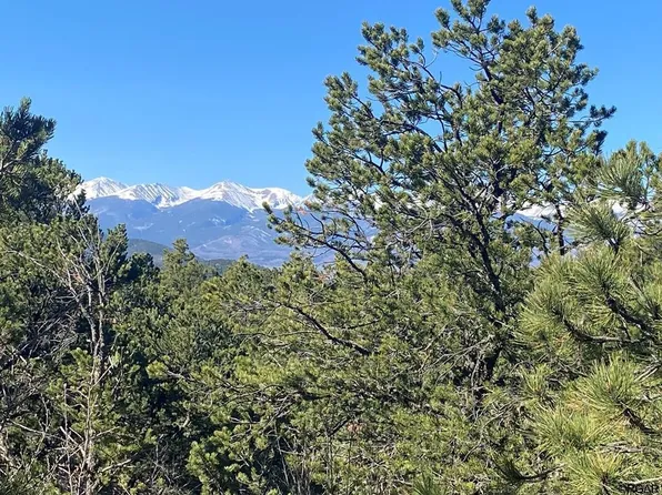 1834 Texas Creek Ln, Cotopaxi, CO 81223