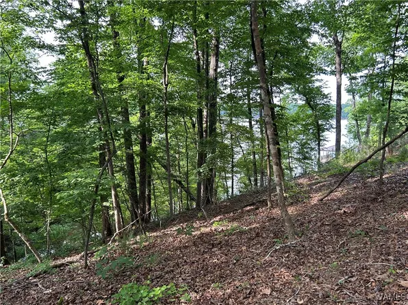 LOT 52 Highpoint Cv, Northport, AL 35475