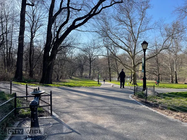 946 Columbus Avenue image 4 of 6