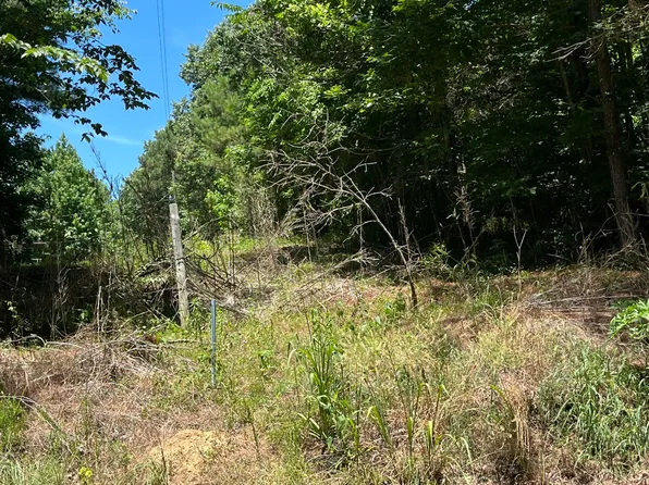 Magnolia Cir Lot 71, Sarah, MS 38665
