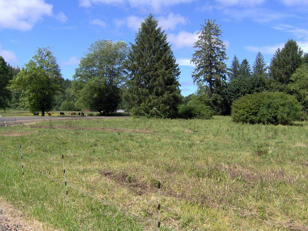 279 E Humptulips Rd, Hoquiam, WA 98550 Zillow