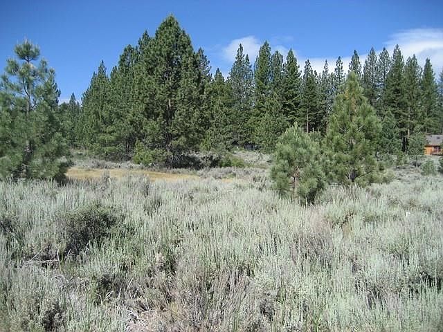 2nd image of 5665 Semaphore Rd
