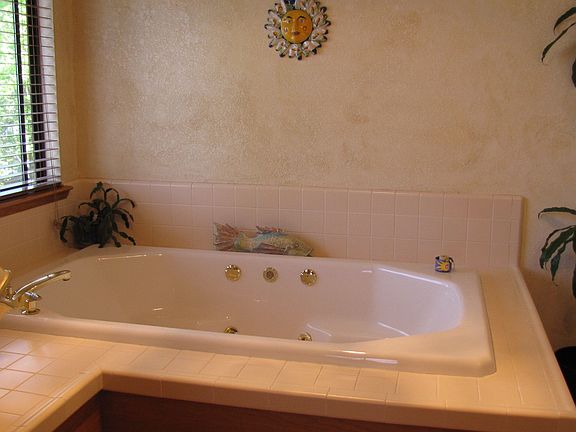 Luxurious Master Bath