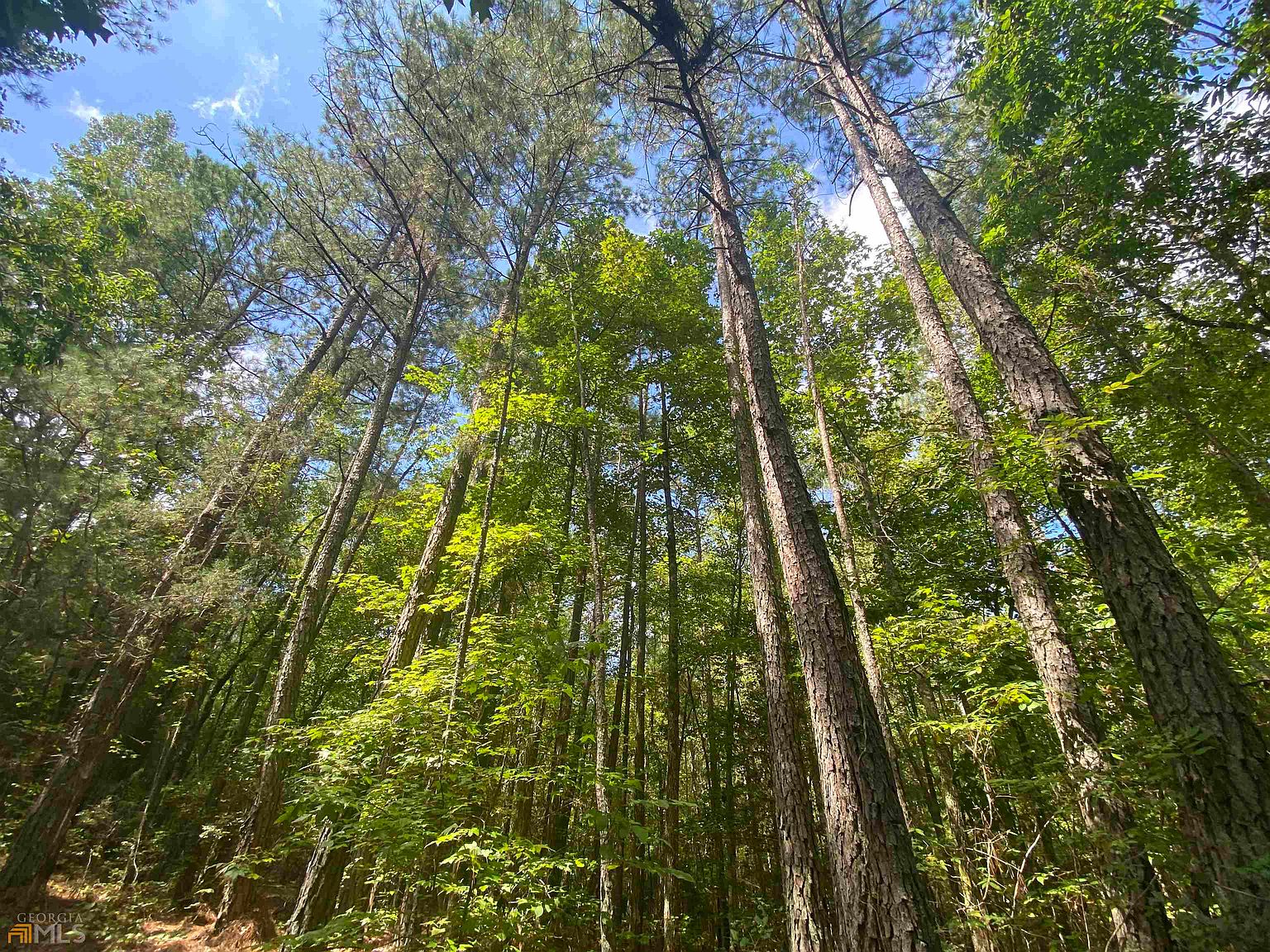 0 Lexington Rd, Carlton, GA 30627 Zillow