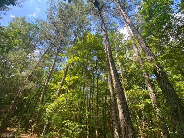 0 Lexington Rd, Carlton, GA 30627