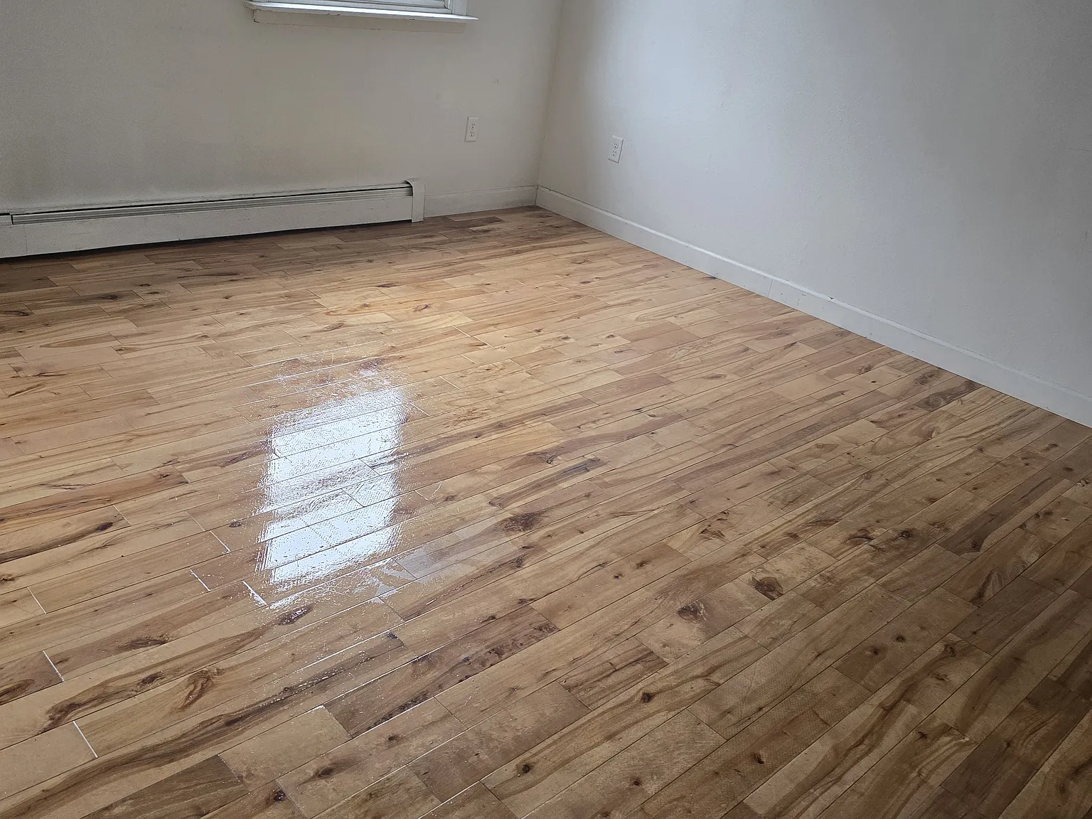 403 College St — Photo 1