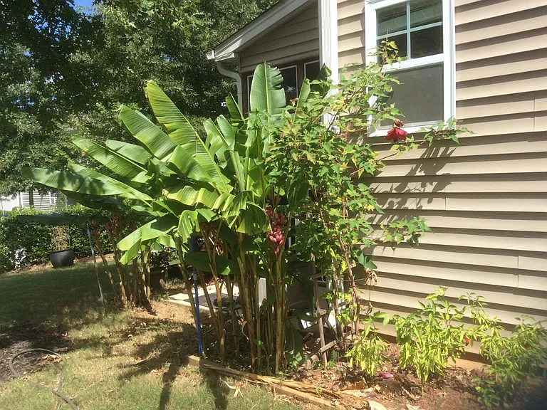 2446 Memory Ridge Dr — Photo 27