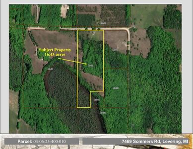 7469 Sommers Rd, Levering, MI, 49755