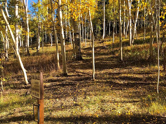 5th image of Wapiti Rd