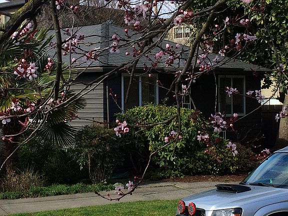 Another view of the front