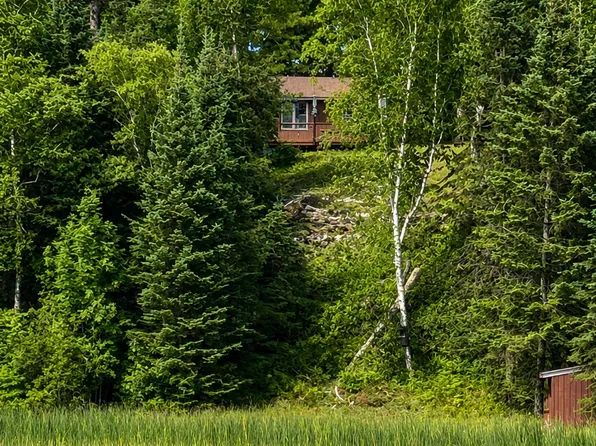 37800 Grave Lake Forest Rd, Deer River, MN 56636