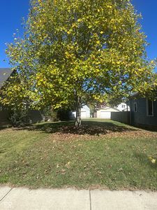 2032 Lexington Ave, Indianapolis, IN, 46203