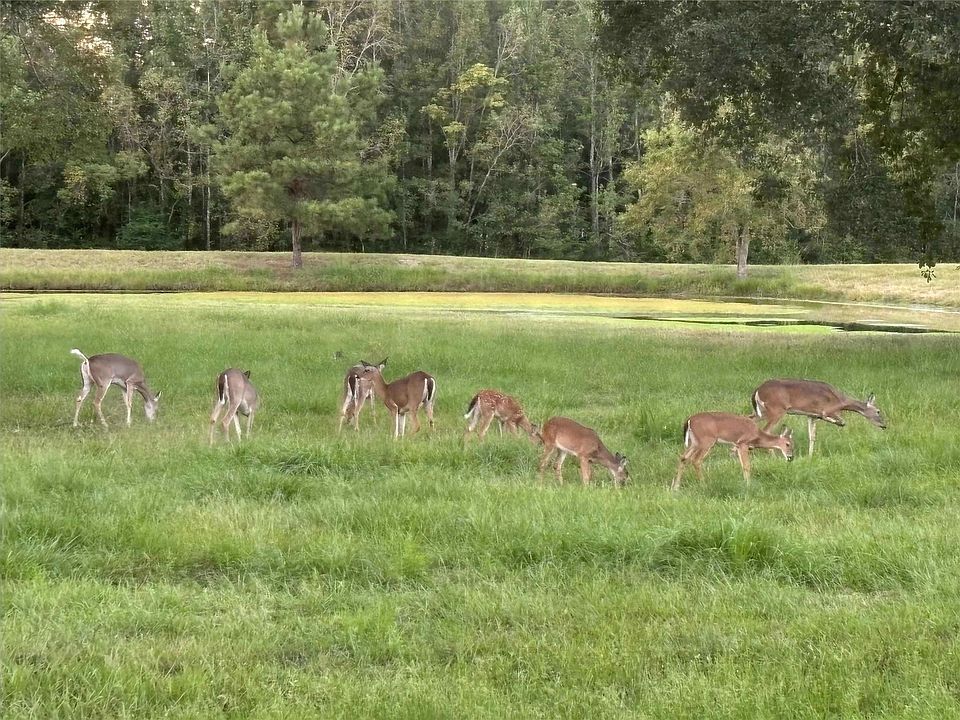 1st image of 3270 County Road 2285