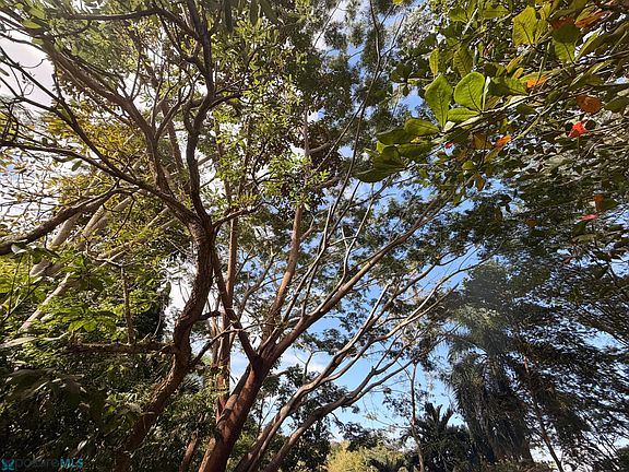 4th image of 58844 Calle Adrian Ortiz A1 Finca
