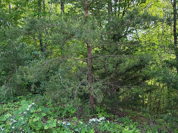 2nd image of LOT 169 Saddleridge Dr
