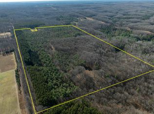 76 E 22nd Rd, Manton, MI 49663