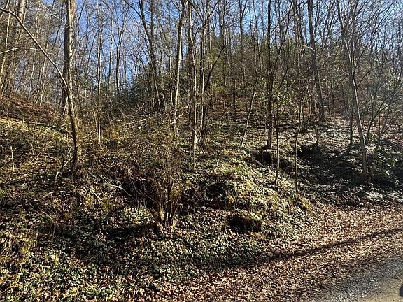 5th image of 15 Blossom Hollow Way Lot Tr15