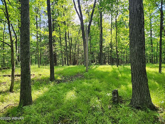 2nd image of PARCEL 279 Oak St Lot 79
