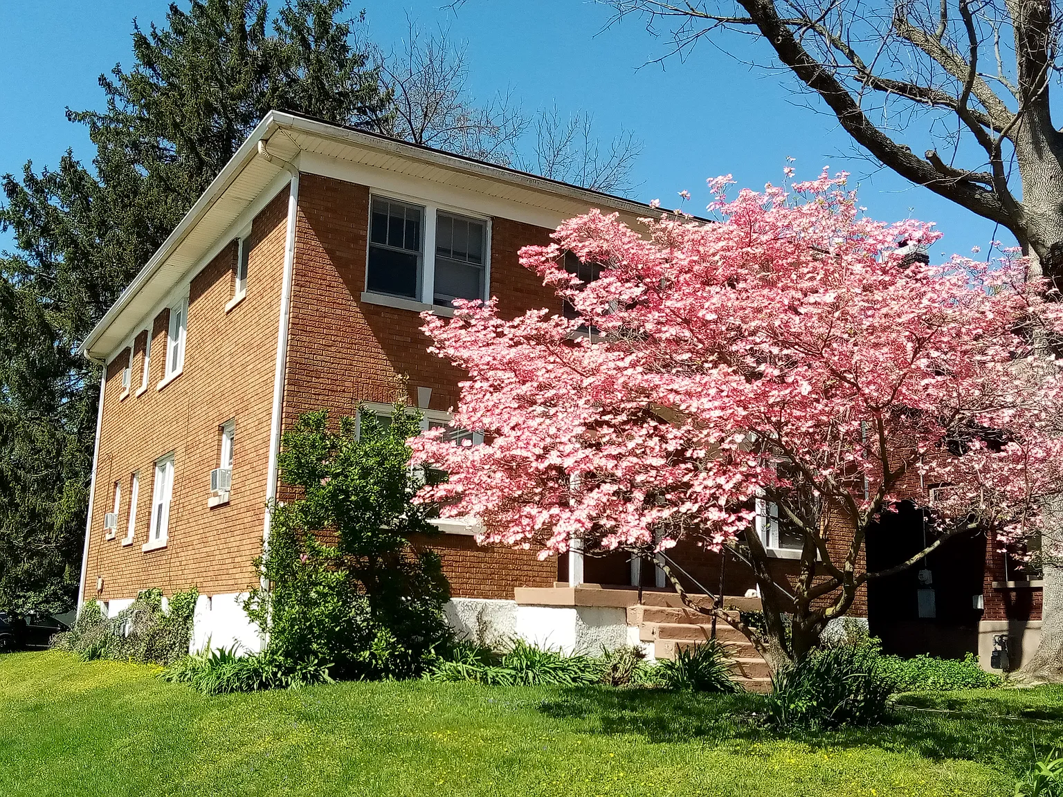 2201 Wrocklage Avenue — Photo 1
