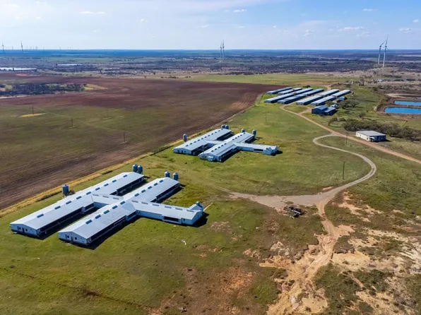 7100 State Highway 25 E, Windthorst, TX 76389