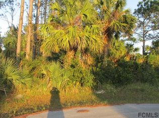 1 Princess Dolores Pl, Palm Coast, FL 32164