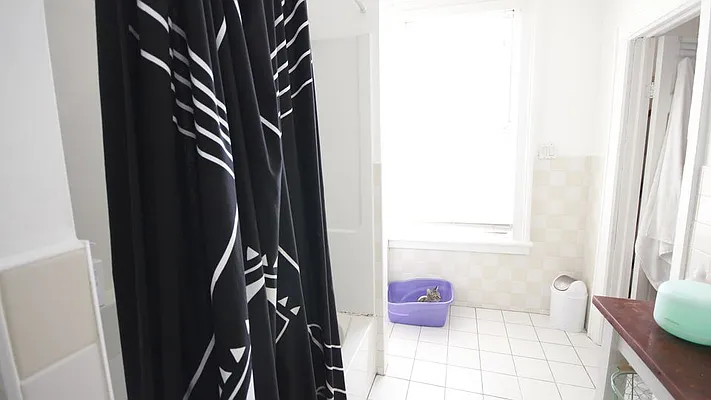Rented by Nooklyn NYC LLC | media 17