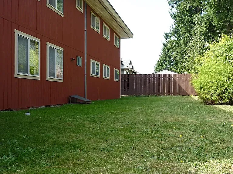 Fenced back yard
