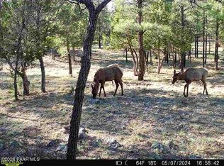 5721 Bald Eagle Way, Happy Jack, AZ 86024
