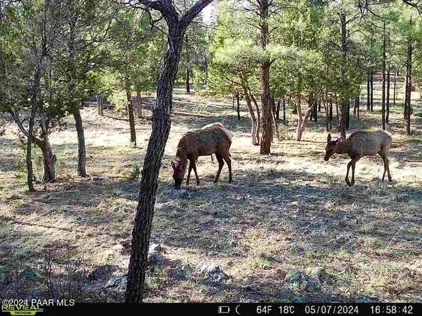 5721 Bald Eagle Way, Happy Jack, AZ 86024