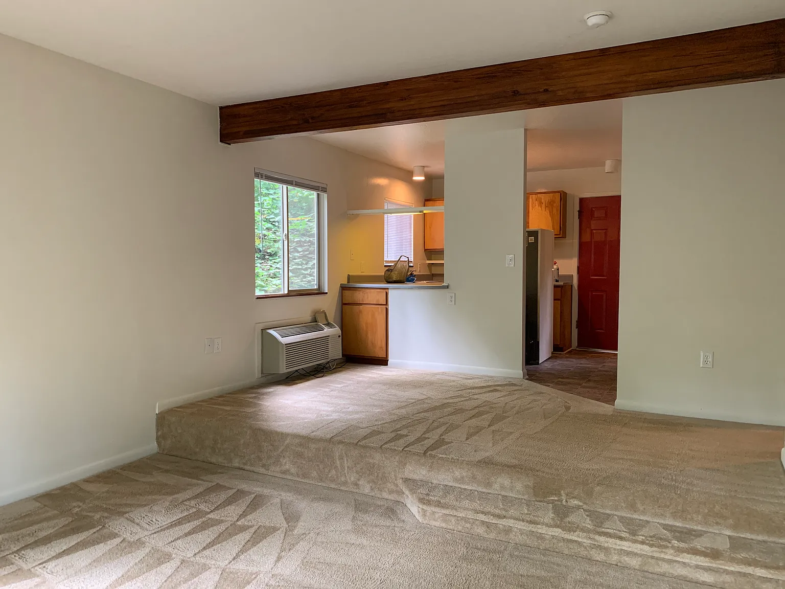 1 bed, $1,300 — Photo 4