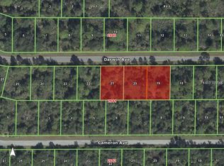 14199 Darwin Ave, Port Charlotte, FL 33953
