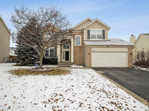 230 Vail Ct, Gilberts, IL 60136