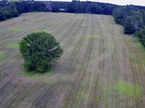 30 Acres Union Rd, Hahira, GA 31632