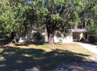 111 Neving Dr, Tampa, FL 33613