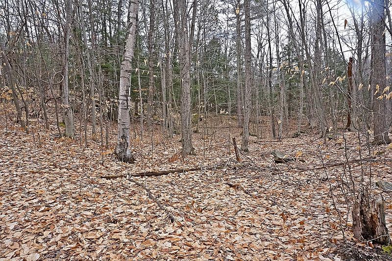 4th image of 0 GREEN POND Lane