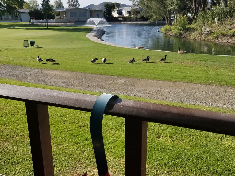 view from deck  & fountain