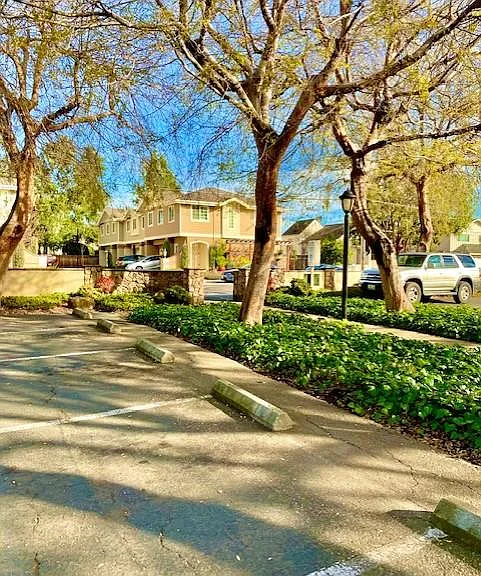 Leafy Grove — Photo 28