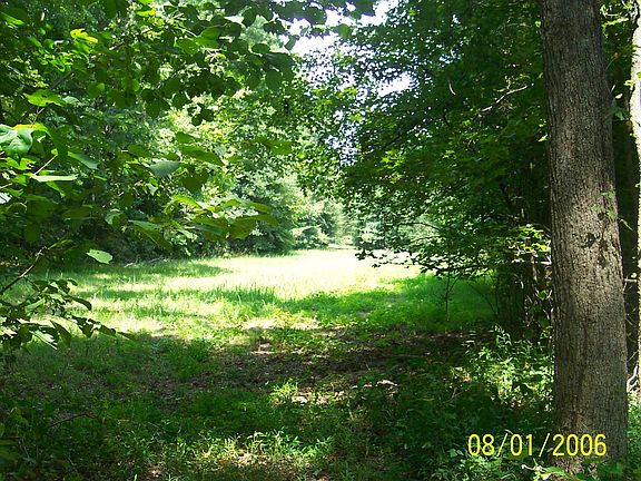 majority mature timber