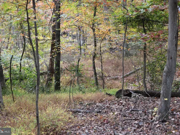 Feather Bed, Hedgesville, WV 25427